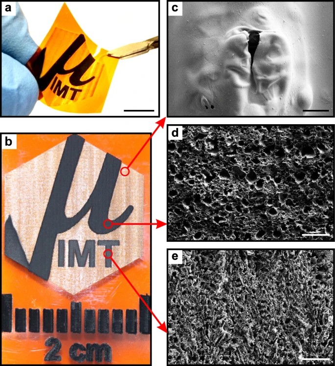 LIG SEM Images